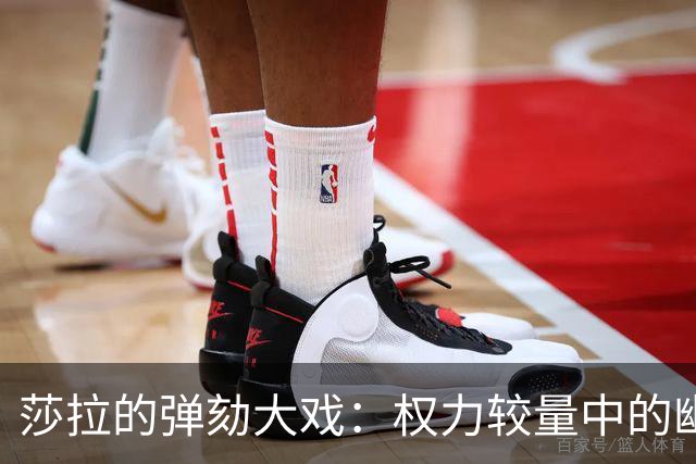莎拉的弹劾大戏：权力较量中的幽暗角落