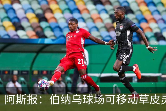 阿斯报：伯纳乌球场可移动草皮灵感部分来自于沙尔克主场